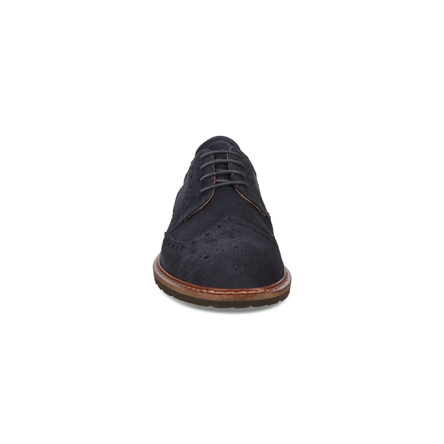 Vitrus Suede Wingtip